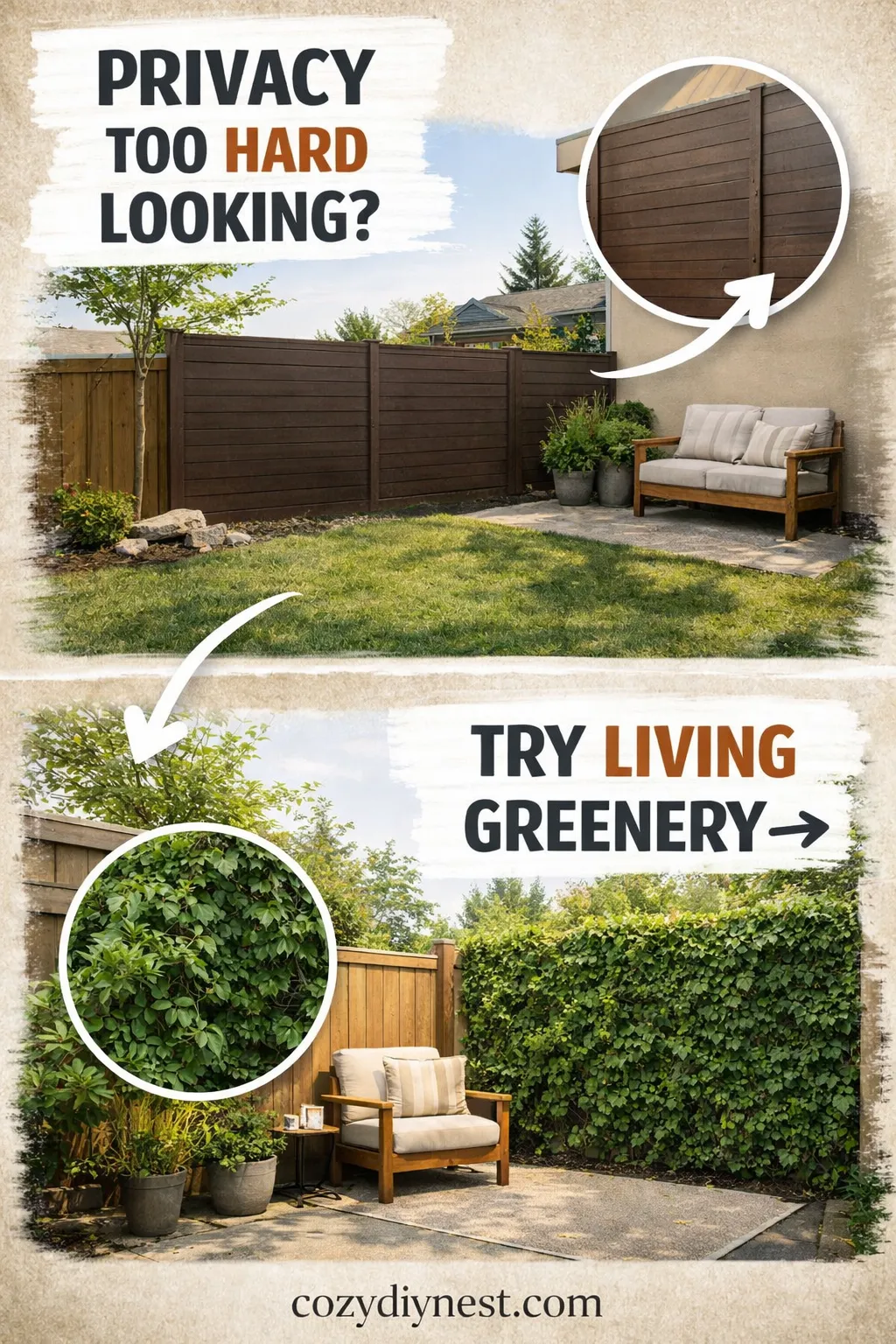 Climbing greenery creating living privacy in a cozy backyard corner